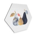 Hexagon Dibond Fredriksson - Bonte Peren