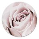 Tableau sur alu-Dibond 1X Studio - Rose Noble - Rond