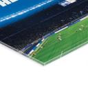 Akrylbillede Hertha BSC - HaHoHe