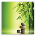 Canvasbillede, Zen bambus sten planter