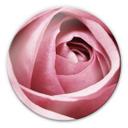 Glasschilderij Pink Rose - rond