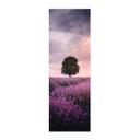 Póster de tela Campos de lavanda púrpura al atardecer - Cevik - Panorama