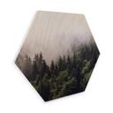 Hexagon Hout Mistig Bos