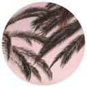 Fototapet - Rundt 1X Studio - Palms - vliesetapet/selvklæbende non-woven tapet