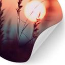 Vinilo decorativo de naturaleza Hierbas a la luz del sol - Treechild - Redondo