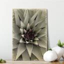 Billede af træ Agave 01