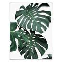 Plakat - Sisi & Seb - Monstera