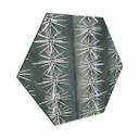 Hexagone - alu-Dibond 1X Studio - Cactus
