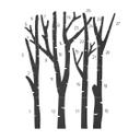 MDF-dekoration Birch Trees and Birds