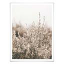 Plakat - Annie - Grass