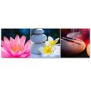 3 stykke lærredsprint Blomst Zen Stone
