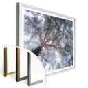 Póster Krivec - Árbol en invierno