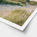 Póster Dunas en la costa holandesa - Zwart
