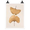 Póster Lenka - Ginkgo
