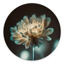Billede Lysende blomsterhjerte - Treechild - rund – print på aluminium (Alu-Dibond)