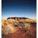Fototapet - Colombo - Ayers Rock ved solnedgang