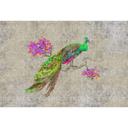 Livingwalls Fototapet Walls by Patel 2 peacock 1