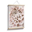Plakat - 1X Studio - Chrysant
