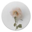Tableau sur alu-Dibond Annie - Les roses - Rond