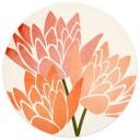 Tapet cirkel Farverige lotusblomster - Kubistika - vliesetapet/selvklæbende non-woven tapet