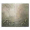 Mystiek regenwoud in de mist - Ms Tiff