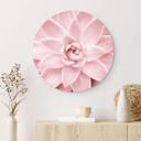 Tableau sur alu-Dibond rond Sisi & Seb - Succulente rose
