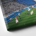 Canvasbillede Hertha BSC - Blå og hvid koreografi på det olympiske stadion