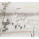 Guido Maria Kretschmer Fotobehang Art Edition Birds of Asia