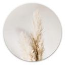 Tableau sur alu-Dibond 1X Studio - Herbes de la Pampa - Rond
