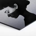 Hexagon Alu-Dibond Zilvereffect Ireland - I am not Here