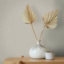 Ensfarvet tapet, non-woven vægbeklædning Novamur Jackie beige