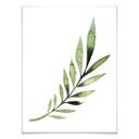 Plakat - Kvilis - Palm Leaf
