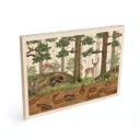 Cuadro de madera objeto oculto animales del bosque - Kikki Belle