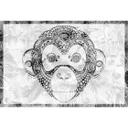 Architects Paper Papier peint photo Atelier 47 Monkey Pattern motif animalier