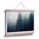 Póster Niebla en el bosque