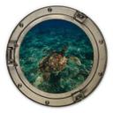 Billede af træ 3D-optik - Skildpadde fra oven - Rund