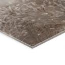 Acrylglas Pampasgras en grassen in beige - Ms Tiff