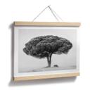 Póster Martin - Árbol en blanco y negro