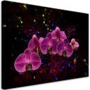 Canvasbillede, orkidéblomster pink spa