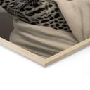 Cuadro de madera spa real tiempo muerto con leopardo - Rahner