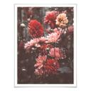 Plakat - Annie - Sommerblomster