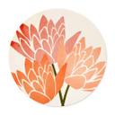 Póster Flores de loto de colores - Cubistika - Redondo