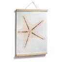 Plakat - Hugonnard - White Starfish
