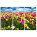 3-delt lærredsprint Farverige tulipaner Blomster Natur