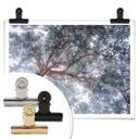 Póster Krivec - Árbol en invierno