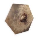 Hexagone - Placage bois de bouleau Delgado - Pissenlits