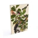 Billede af træ Frida Floral Studio - Twiggy Eye