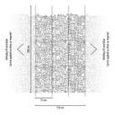 Fototapet med byillustration - non-woven tapet med sort-hvidt mønster - tapet til børneværelset