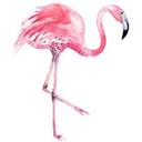 Sticker mural Kristina Kvilis - Flamant rose 02