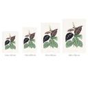 Fototapet Illustration af blade - Bignonia Argyro Violascea